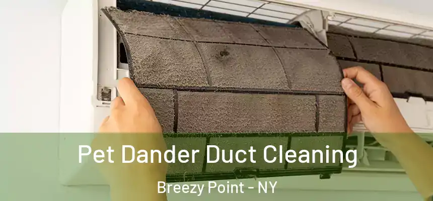 Pet Dander Duct Cleaning Breezy Point - NY