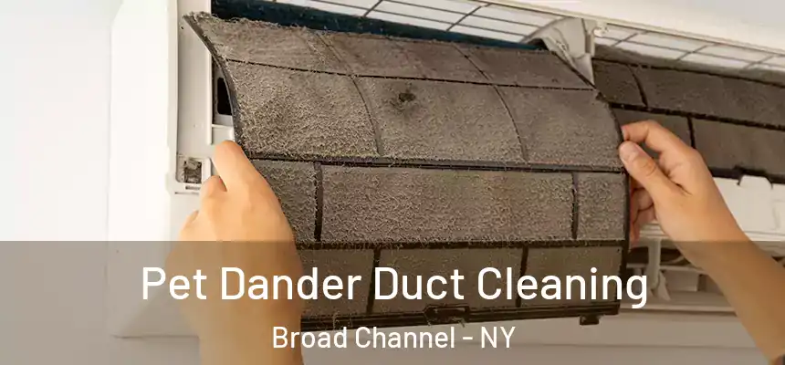 Pet Dander Duct Cleaning Broad Channel - NY