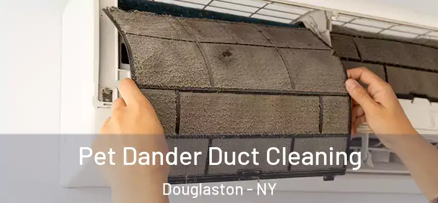 Pet Dander Duct Cleaning Douglaston - NY