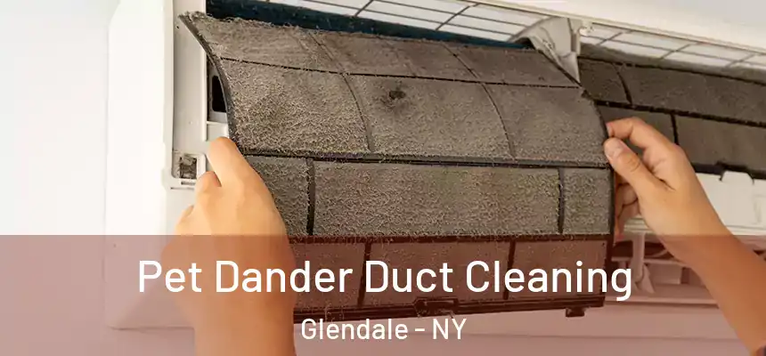 Pet Dander Duct Cleaning Glendale - NY