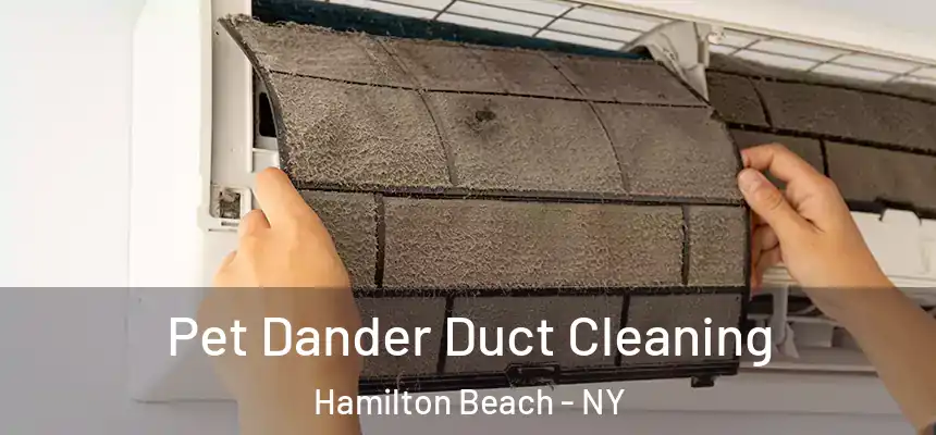 Pet Dander Duct Cleaning Hamilton Beach - NY