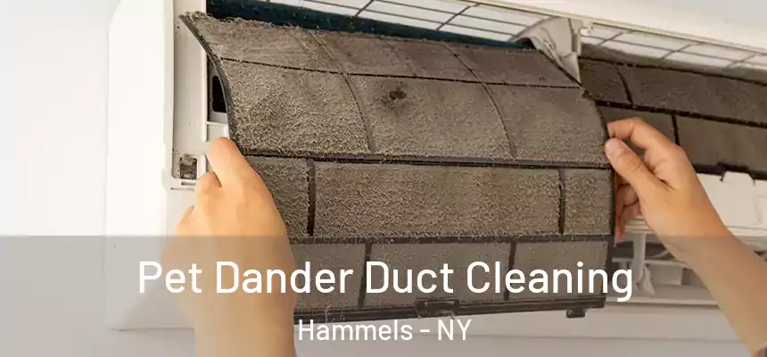  Pet Dander Duct Cleaning Hammels - NY