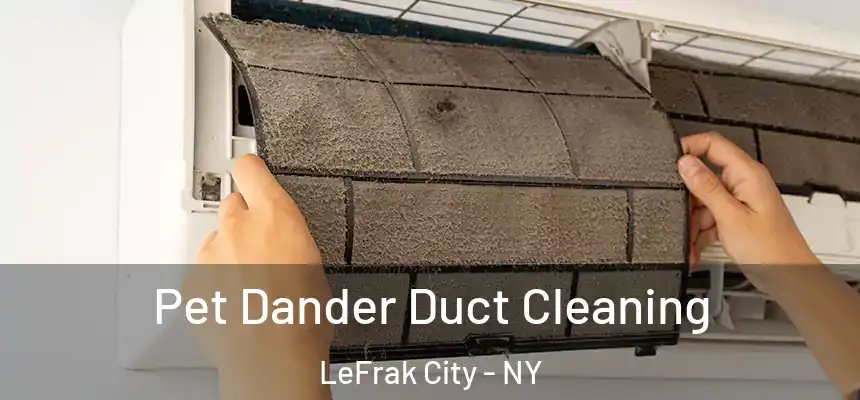  Pet Dander Duct Cleaning LeFrak City - NY