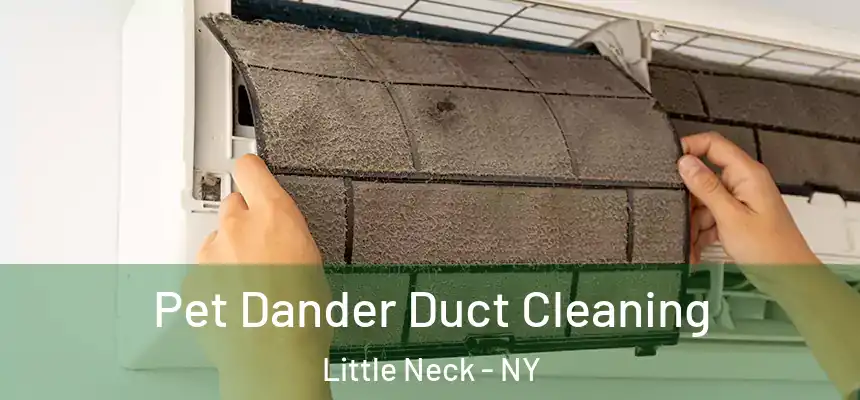  Pet Dander Duct Cleaning Little Neck - NY