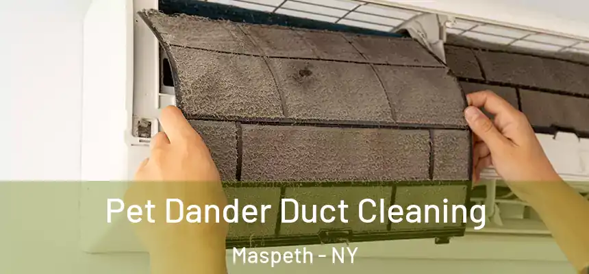 Pet Dander Duct Cleaning Maspeth - NY