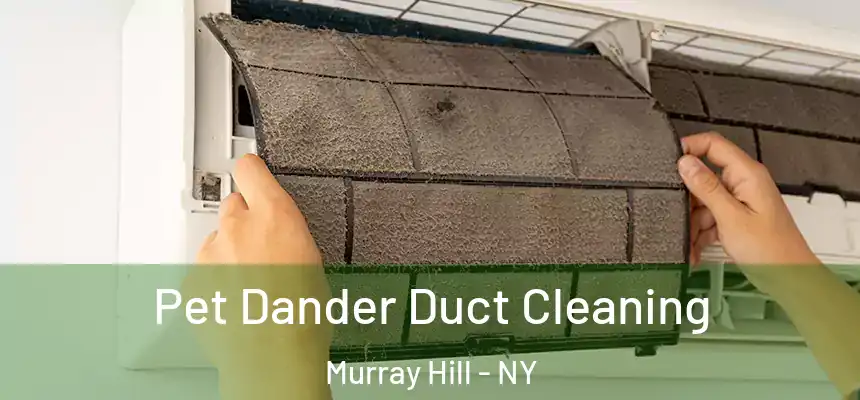  Pet Dander Duct Cleaning Murray Hill - NY