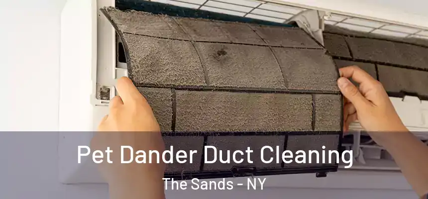  Pet Dander Duct Cleaning The Sands - NY