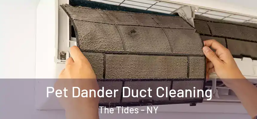  Pet Dander Duct Cleaning The Tides - NY