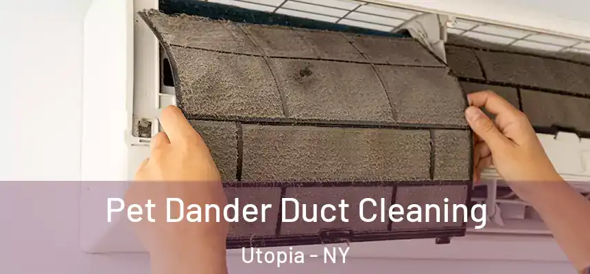 Pet Dander Duct Cleaning Utopia - NY
