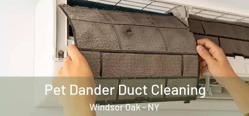 Pet Dander Duct Cleaning Windsor Oak - NY