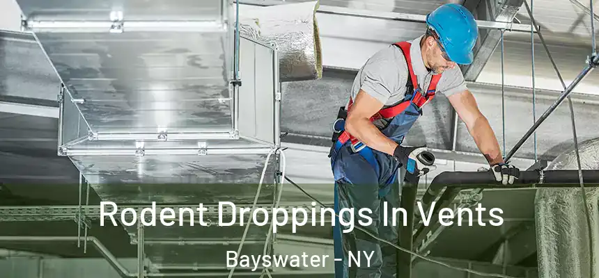  Rodent Droppings In Vents Bayswater - NY