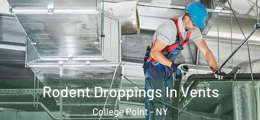 Rodent Droppings In Vents College Point - NY