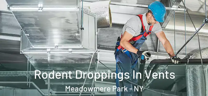 Rodent Droppings In Vents Meadowmere Park - NY