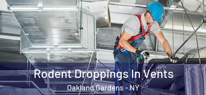 Rodent Droppings In Vents Oakland Gardens - NY