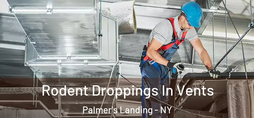 Rodent Droppings In Vents Palmer's Landing - NY