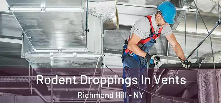  Rodent Droppings In Vents Richmond Hill - NY