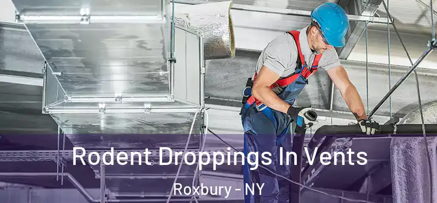  Rodent Droppings In Vents Roxbury - NY
