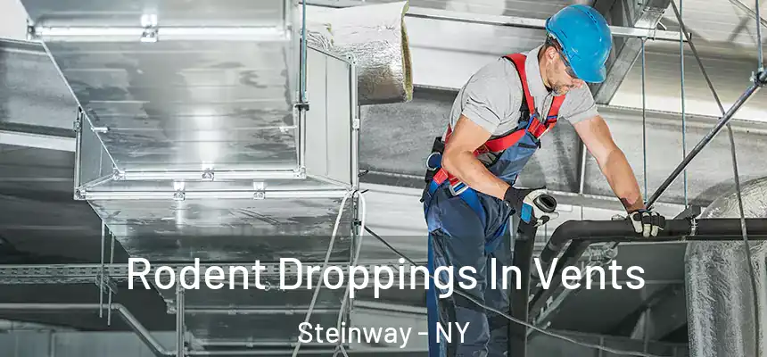 Rodent Droppings In Vents Steinway - NY