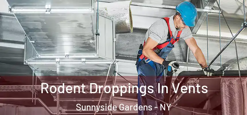 Rodent Droppings In Vents Sunnyside Gardens - NY