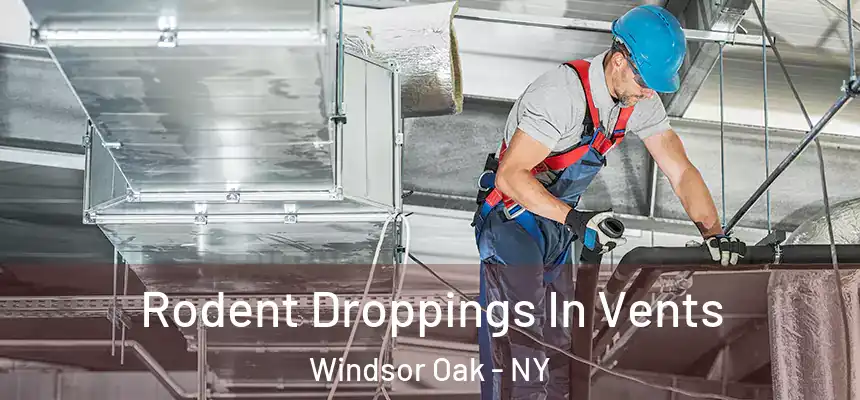  Rodent Droppings In Vents Windsor Oak - NY