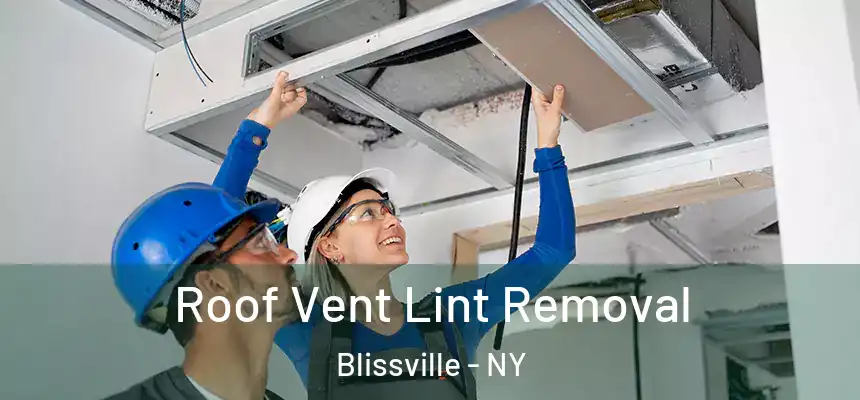  Roof Vent Lint Removal Blissville - NY