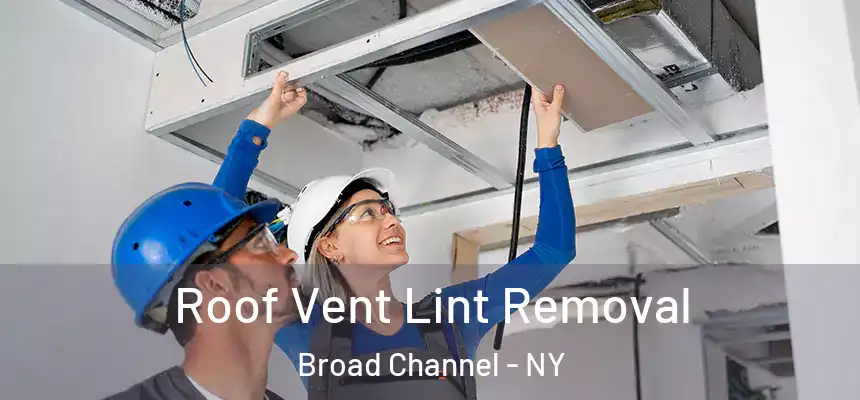  Roof Vent Lint Removal Broad Channel - NY