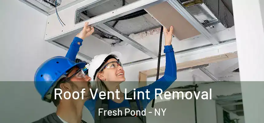  Roof Vent Lint Removal Fresh Pond - NY
