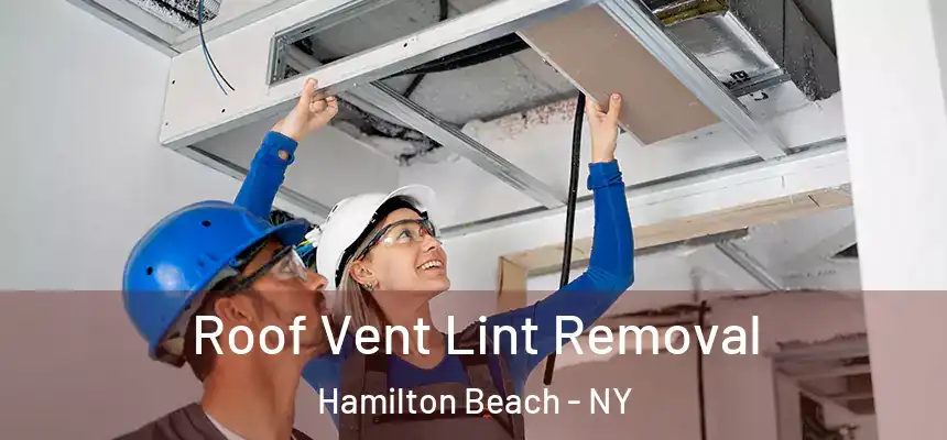  Roof Vent Lint Removal Hamilton Beach - NY