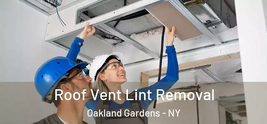Roof Vent Lint Removal Oakland Gardens - NY