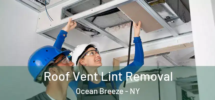  Roof Vent Lint Removal Ocean Breeze - NY