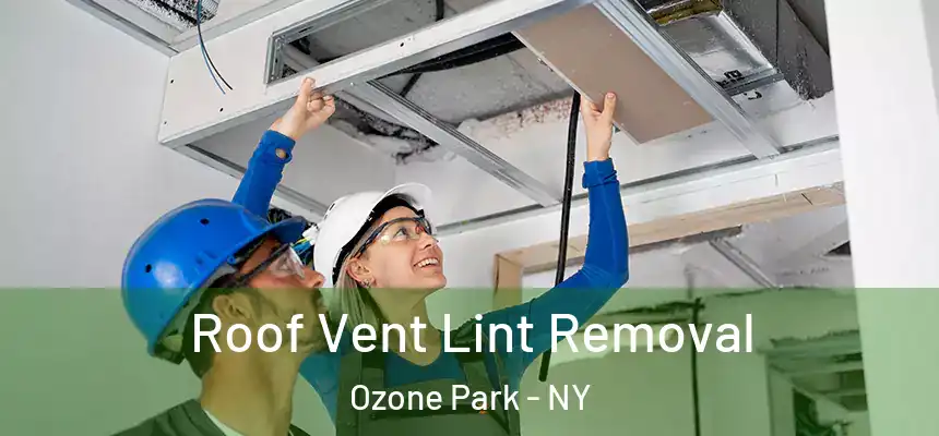 Roof Vent Lint Removal Ozone Park - NY