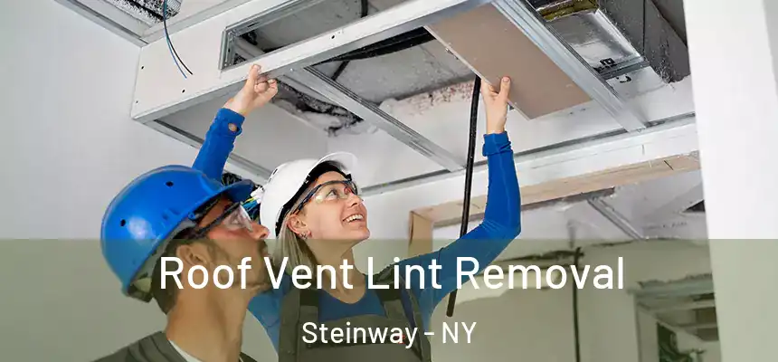  Roof Vent Lint Removal Steinway - NY