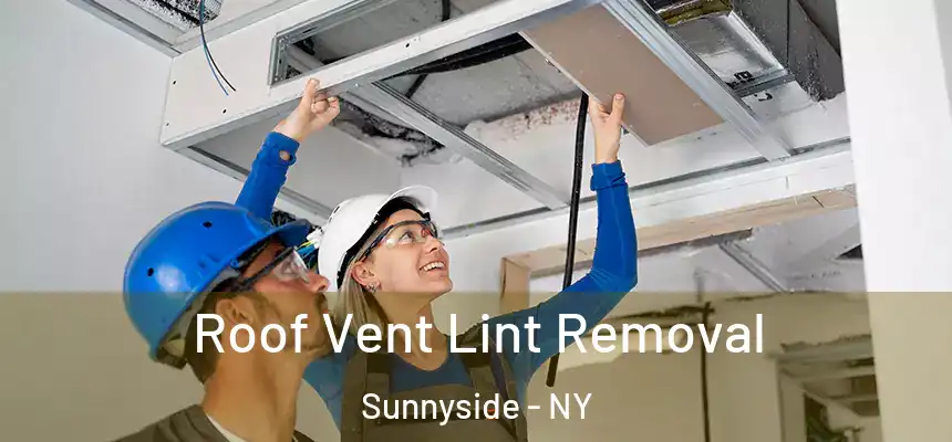  Roof Vent Lint Removal Sunnyside - NY