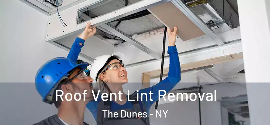  Roof Vent Lint Removal The Dunes - NY