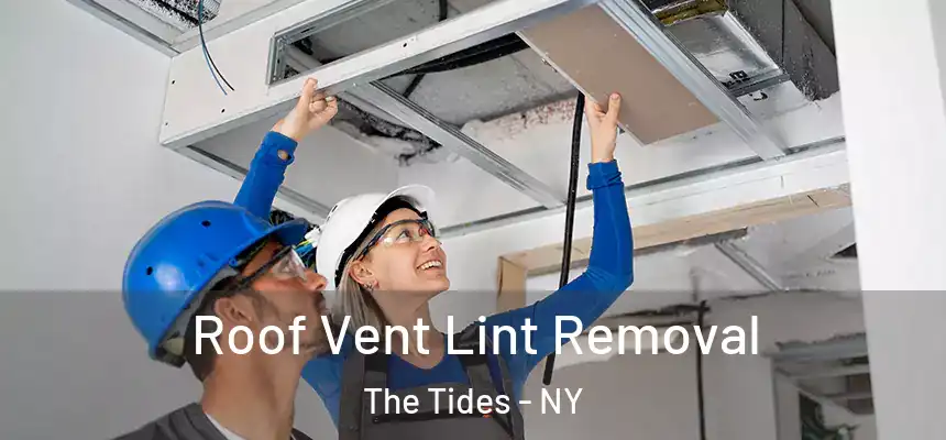  Roof Vent Lint Removal The Tides - NY