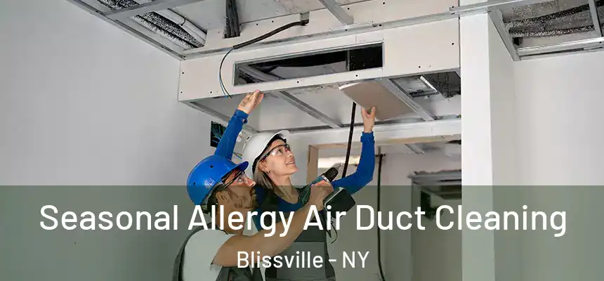  Seasonal Allergy Air Duct Cleaning Blissville - NY