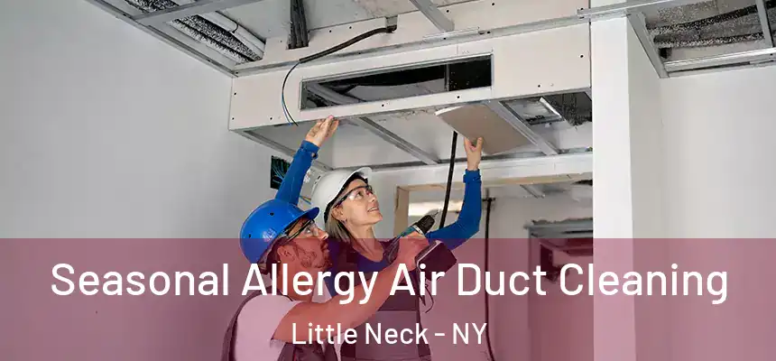  Seasonal Allergy Air Duct Cleaning Little Neck - NY