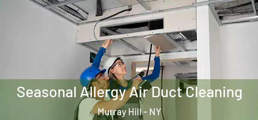  Seasonal Allergy Air Duct Cleaning Murray Hill - NY