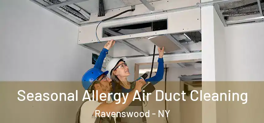  Seasonal Allergy Air Duct Cleaning Ravenswood - NY