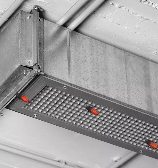 About Air Duct Cockroach Removal in Queens, NY