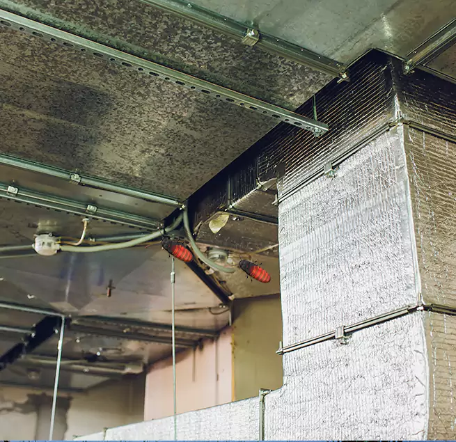 Why Homeowners & Businesses Trust Us in Queens, NY?