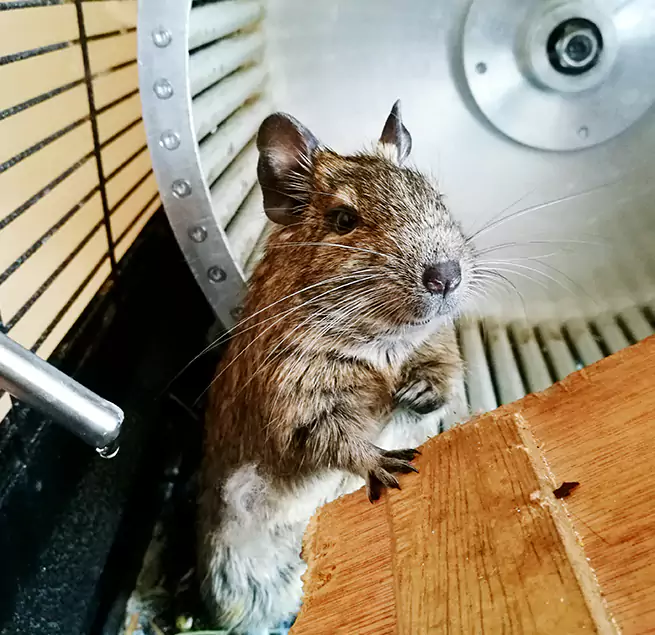 Why Homeowners & Businesses Trust Us Queens, NY