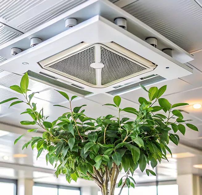 Why Homeowners & Businesses Trust Us in Queens, NY?