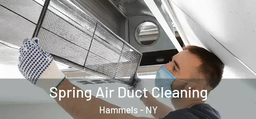Spring Air Duct Cleaning Hammels - NY