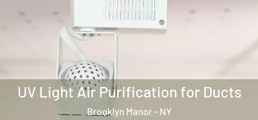  UV Light Air Purification for Ducts Brooklyn Manor - NY