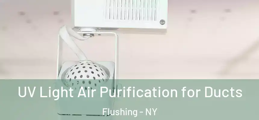 UV Light Air Purification for Ducts Flushing - NY