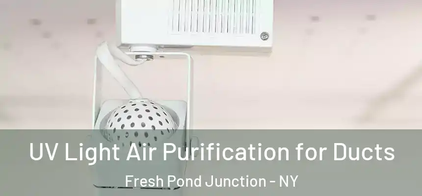  UV Light Air Purification for Ducts Fresh Pond Junction - NY