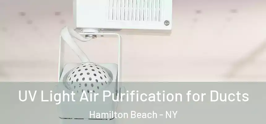  UV Light Air Purification for Ducts Hamilton Beach - NY