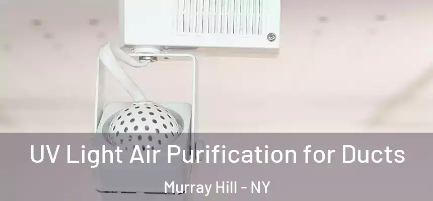  UV Light Air Purification for Ducts Murray Hill - NY