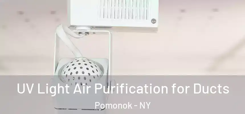  UV Light Air Purification for Ducts Pomonok - NY